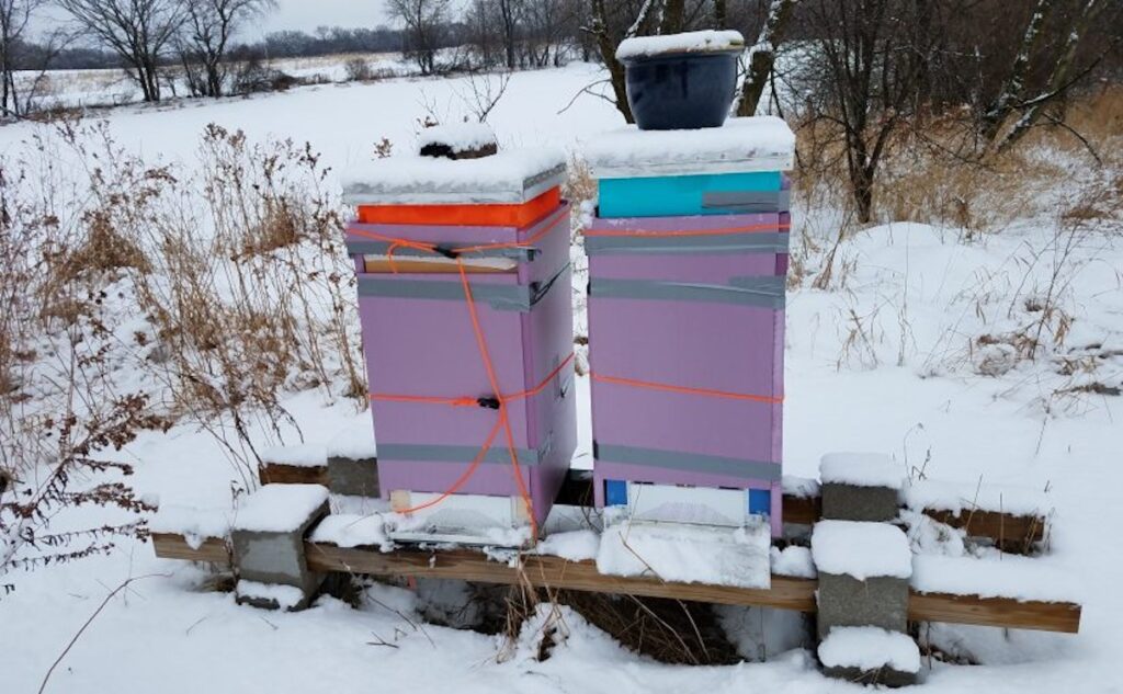 winter bee hive wraps lappes bee supply