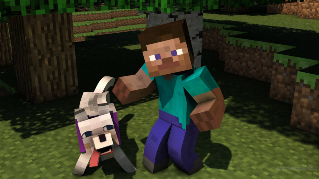 steve:cw1vc91dxx4= minecraft